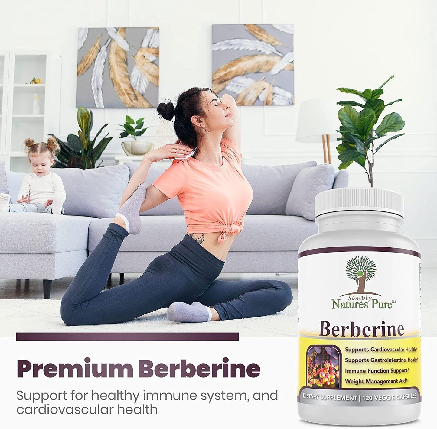 2 Packs of Simply Natures Premium Berberine HCl 500mg Capsules for Cardiovascular, Gastrointestinal, and Immune Support