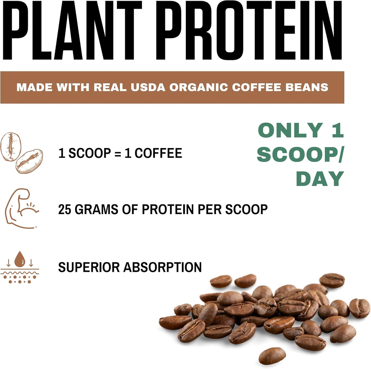 20 Servings of vedge Organic Plant Protein Cold Brew Latte - Vegan, USDA Certified, Gluten Free, Non Dairy Powder