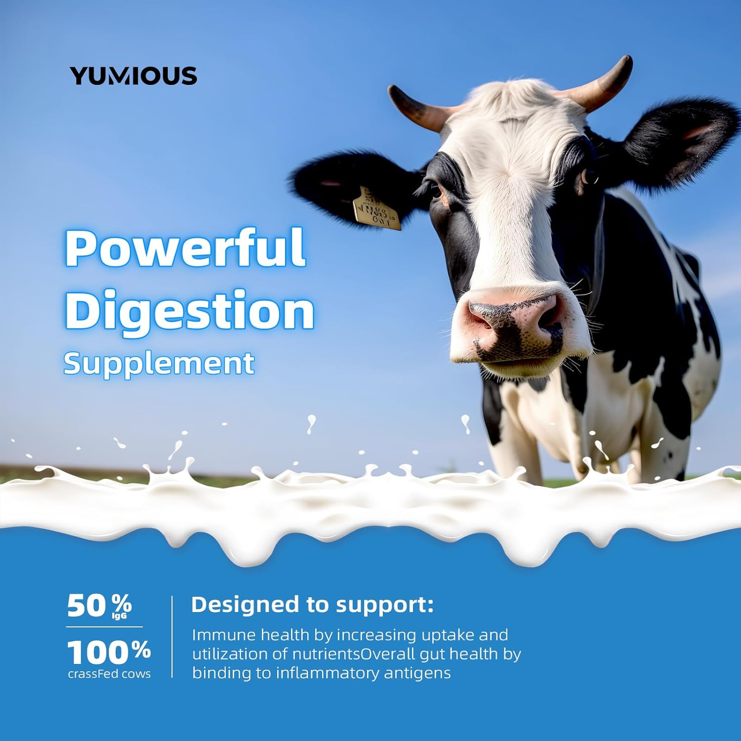 2000mg Bovine Colostrum Capsules: Gut Health, Muscle Recovery, Energy, Hair, Skin, Immune Support - 50% IgG Cow Colostrum Supplement - Superfood, Gluten Free - 120 Capsules