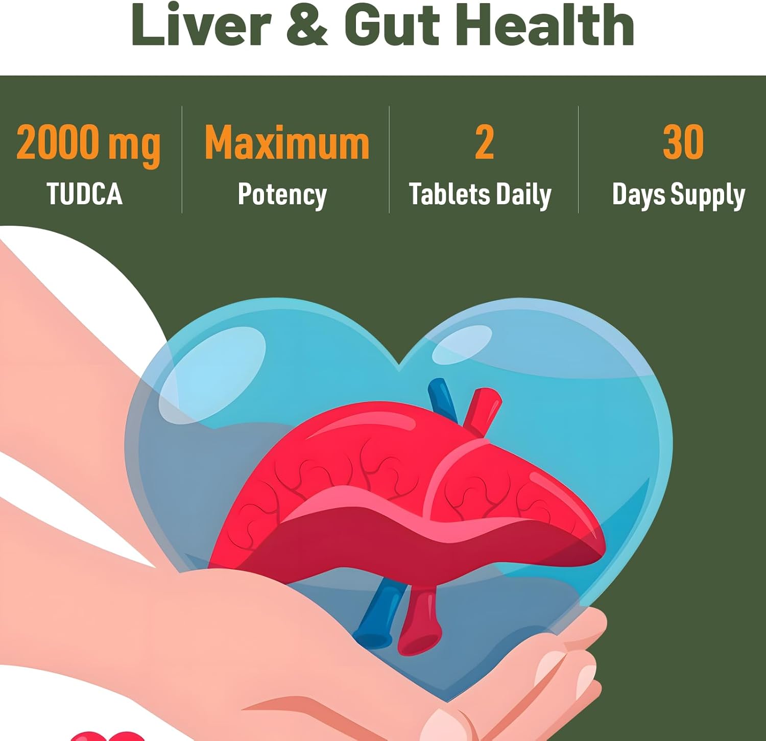 2000mg Canarata TUDCA Liver Support Supplements - Detox & Cleanse Formula for Liver and Gallbladder - Easy to Swallow Tablets - 30 Day Supply