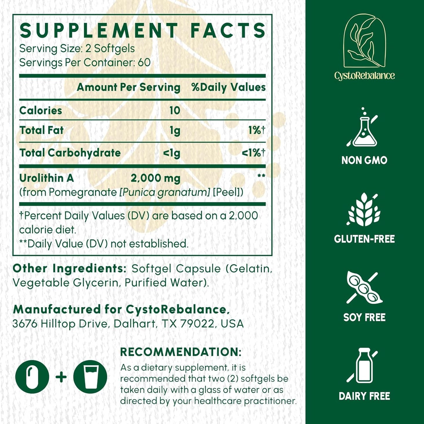 2000MG CystoRebalance Urolithin A Supplement - Antioxidant & Mitochondrial Support - 120 Softgels, 2 Month Supply