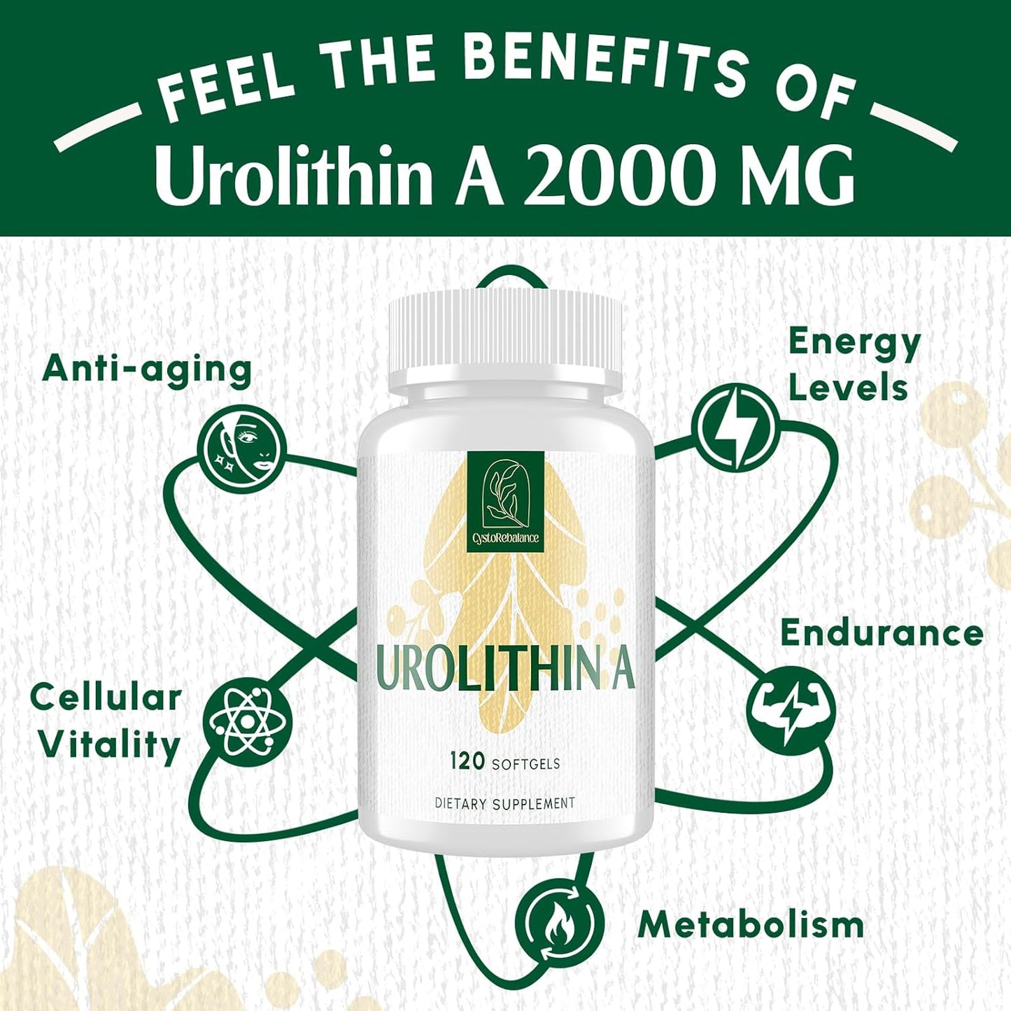2000MG CystoRebalance Urolithin A Supplement - Antioxidant & Mitochondrial Support - 120 Softgels, 2 Month Supply