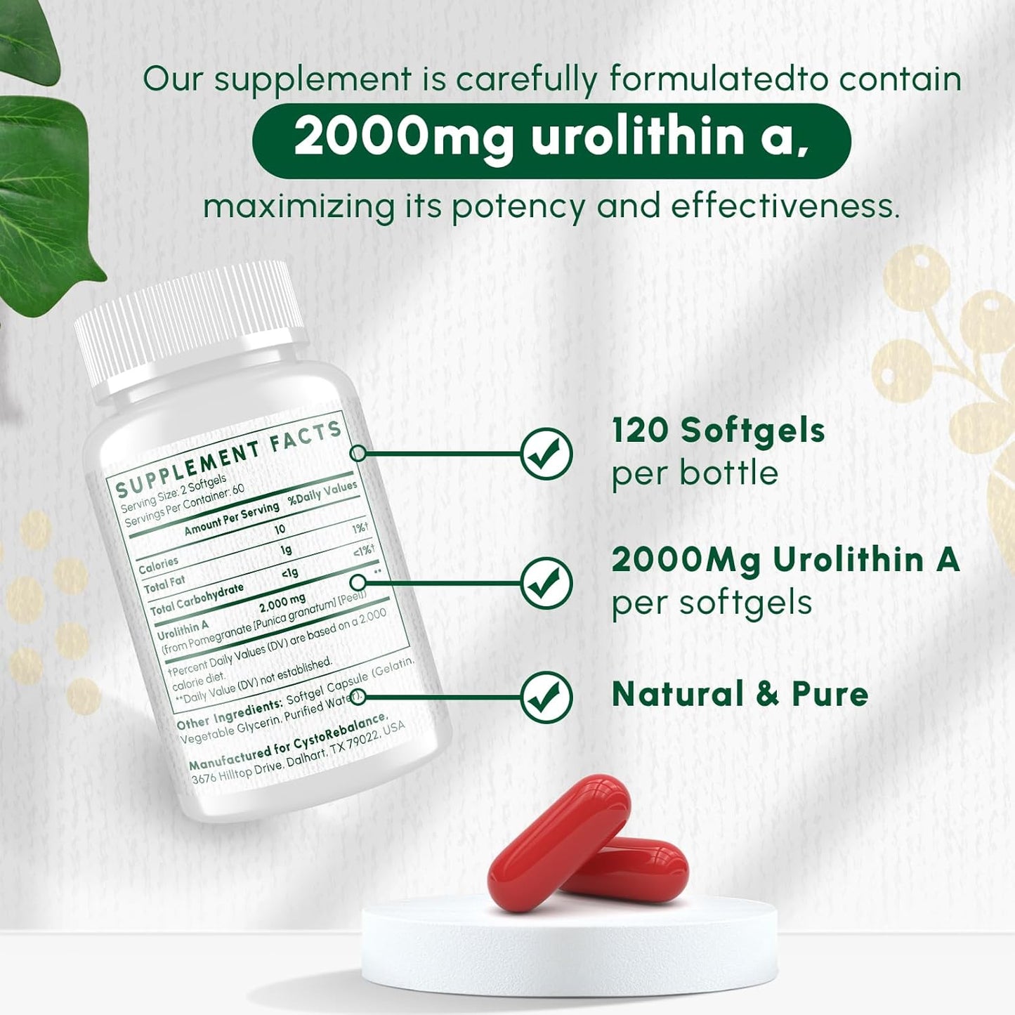 2000MG CystoRebalance Urolithin A Supplement - Antioxidant & Mitochondrial Support - 120 Softgels, 2 Month Supply