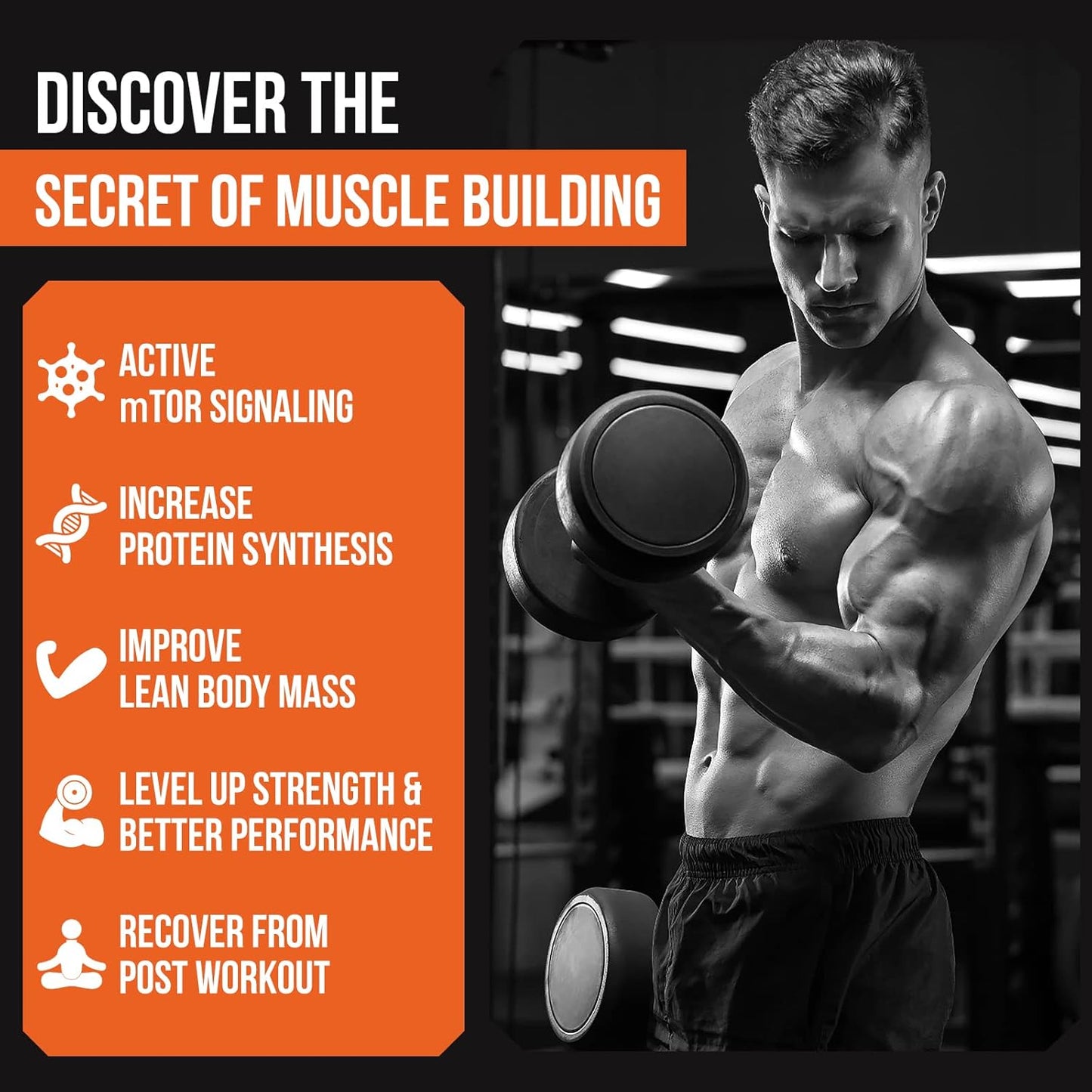 2000mg Liposomal Phosphatidic Acid Muscle Builder (PA) Supplement for Men & Women - High Absorption Muscle Gainer, mTOR Protein Synthesis Support, Lean Muscle & Strength - 4 Pack
