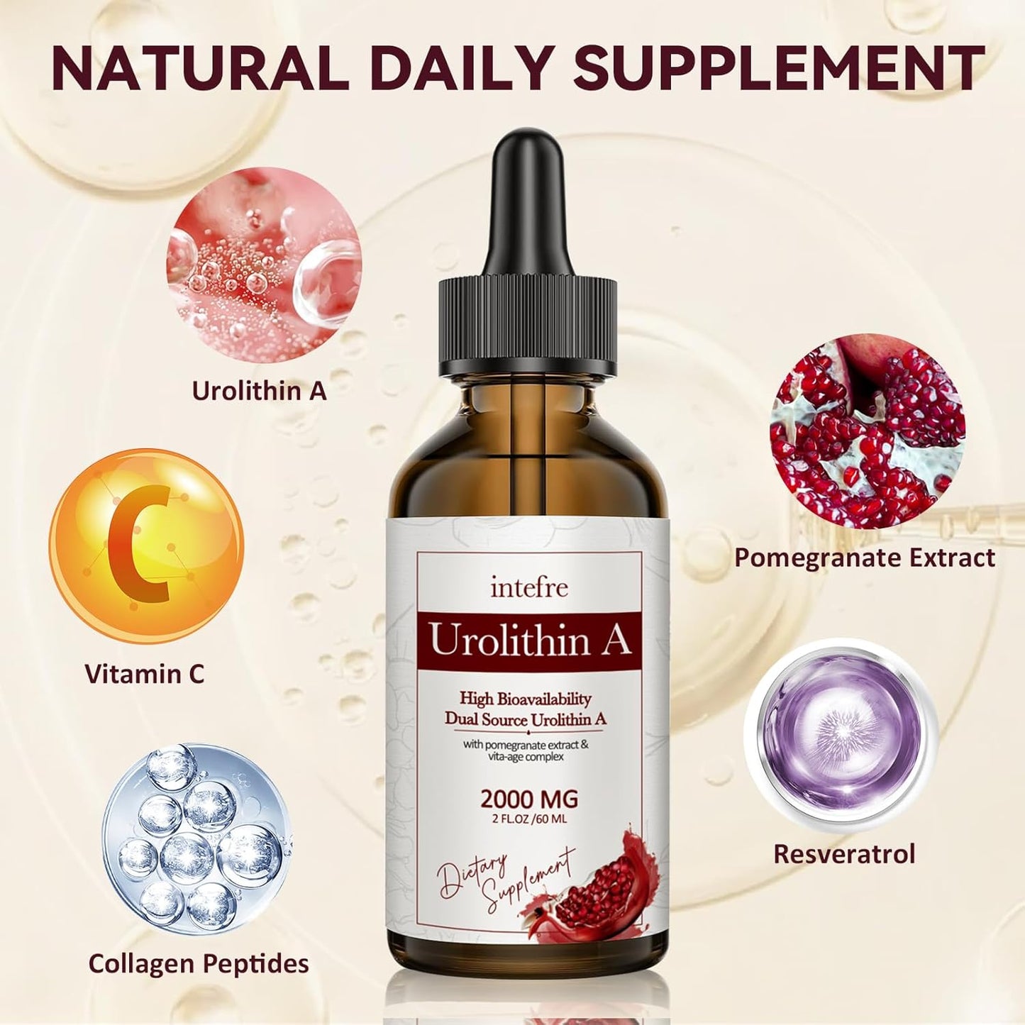 2000mg Urolithin A Liquid Drops with Pomegranate Extract for Healthy Aging & Cell Repair