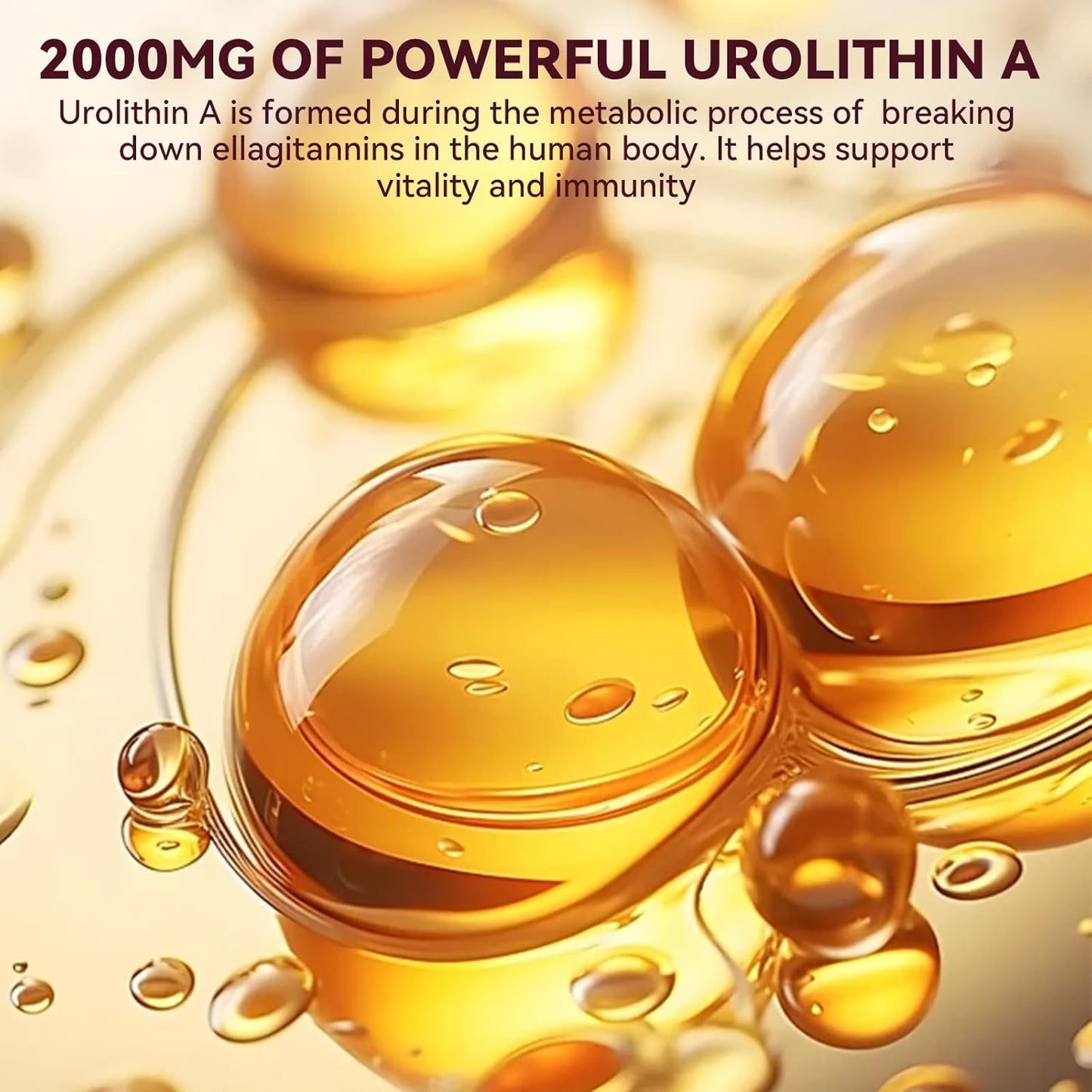 2000mg Urolithin A Liquid Drops with Pomegranate Extract for Healthy Aging & Cell Repair