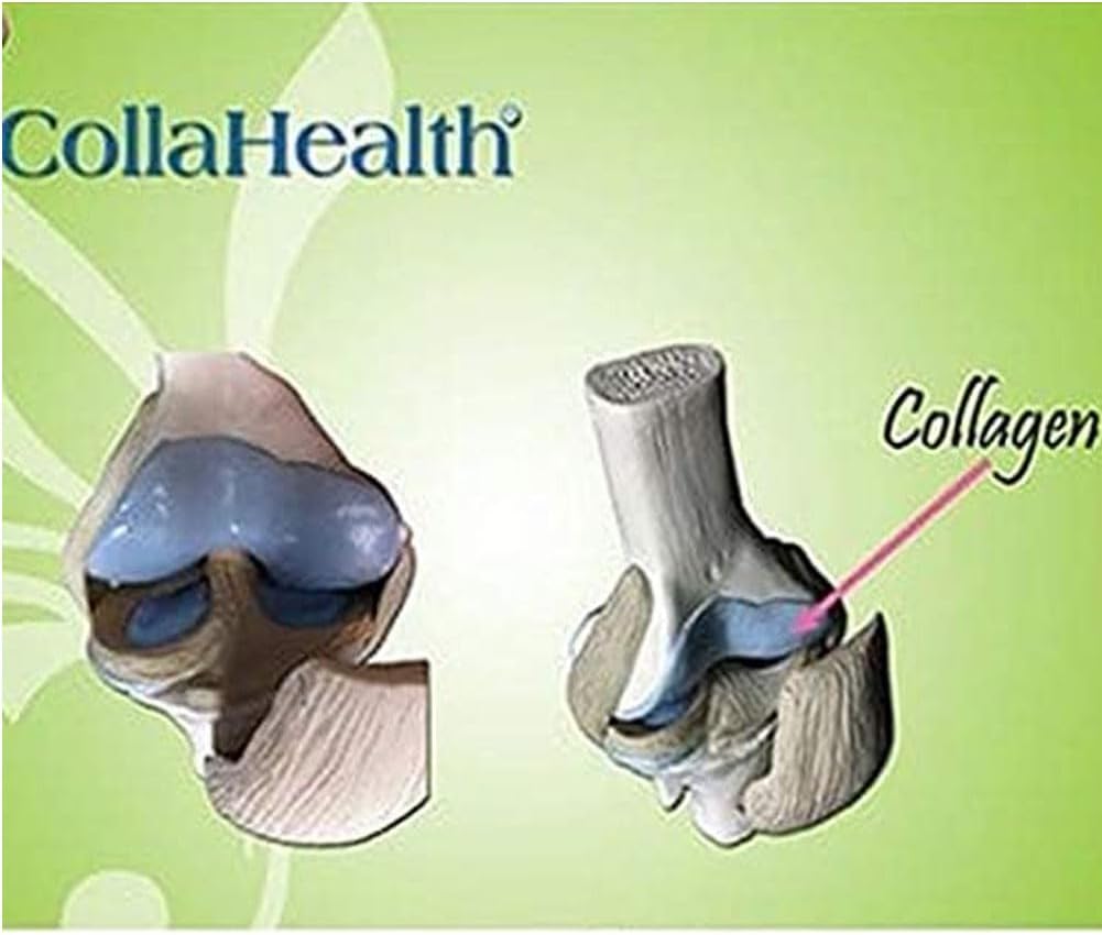 200g Honest Succeed Collahealth Hydrolyzed Fish Collagen - Premium Quality Supplement