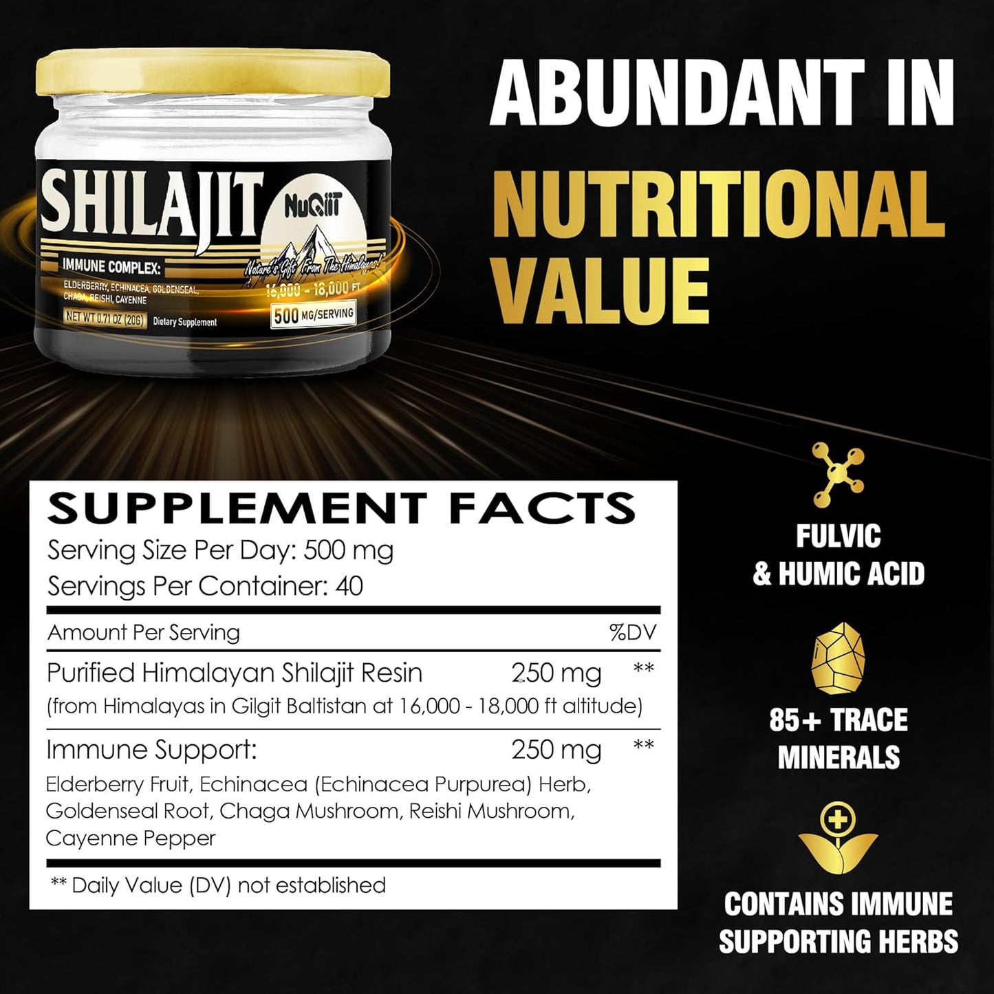 20g NUQIIT Shilajit Resin with Elderberry, Echinacea, Goldenseal, Chaga, Reishi, Cayenne - Immune Support Blend