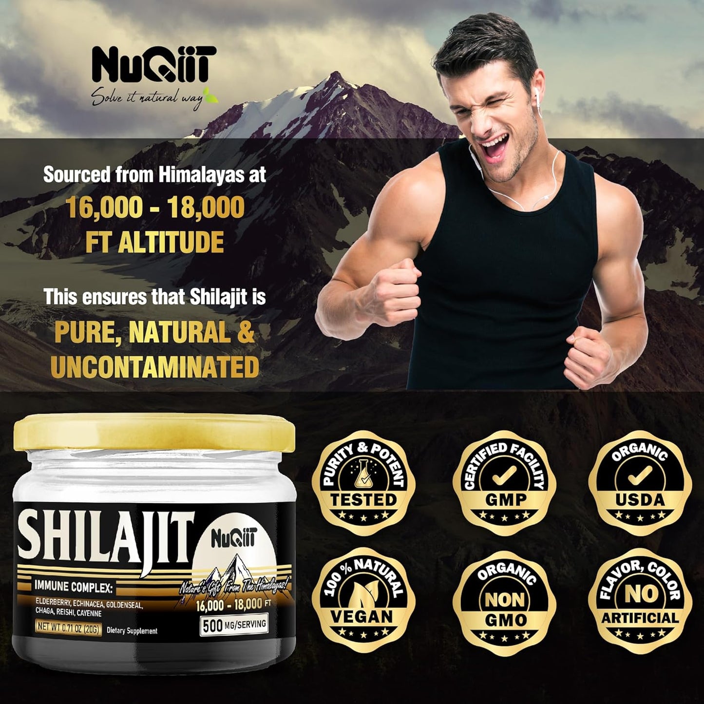 20g NUQIIT Shilajit Resin with Elderberry, Echinacea, Goldenseal, Chaga, Reishi, Cayenne - Immune Support Blend