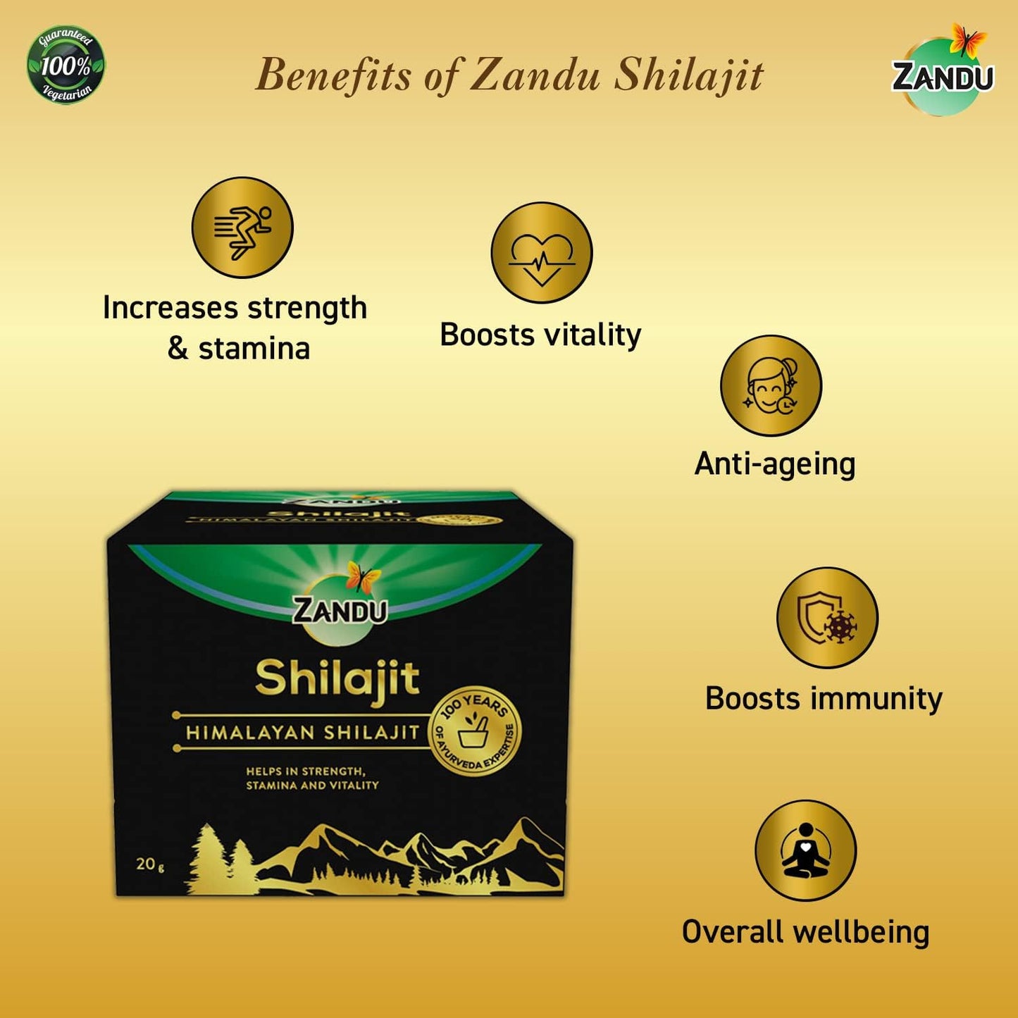 20g Zandu Pure Himalayan Shilajit Resin: Natural Ayurvedic Supplement for Strength, Stamina, and Holistic Wellness