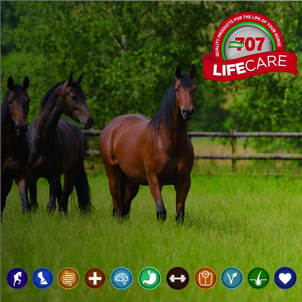 20LB Bucket of Formula 707 Calming Equine Supplement with L-Tryptophan, Thiamine, and Magnesium - Promotes Anxiety Relief and Improved Focus for Horses