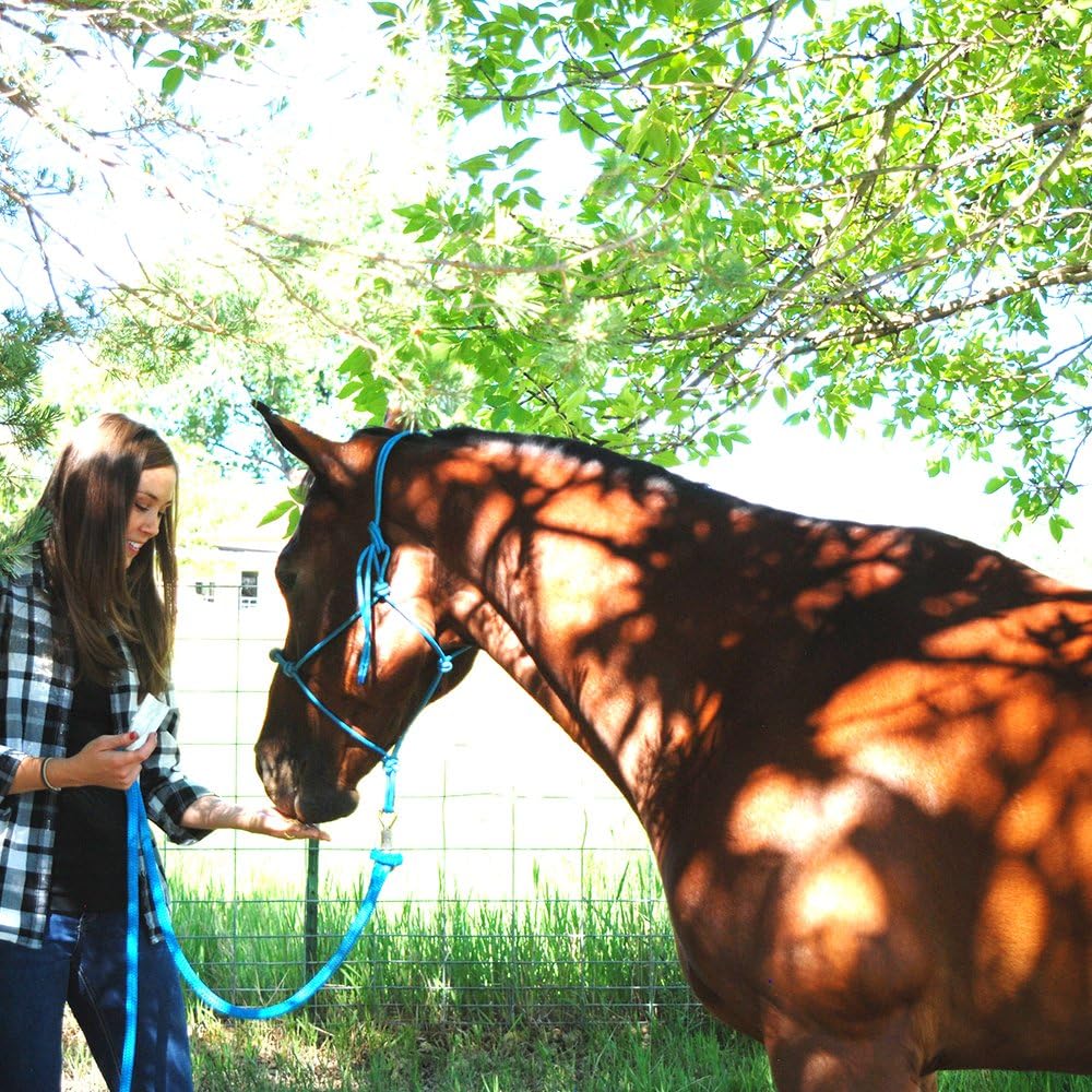 20LB Bucket of Formula 707 Calming Equine Supplement with L-Tryptophan, Thiamine, and Magnesium - Promotes Anxiety Relief and Improved Focus for Horses