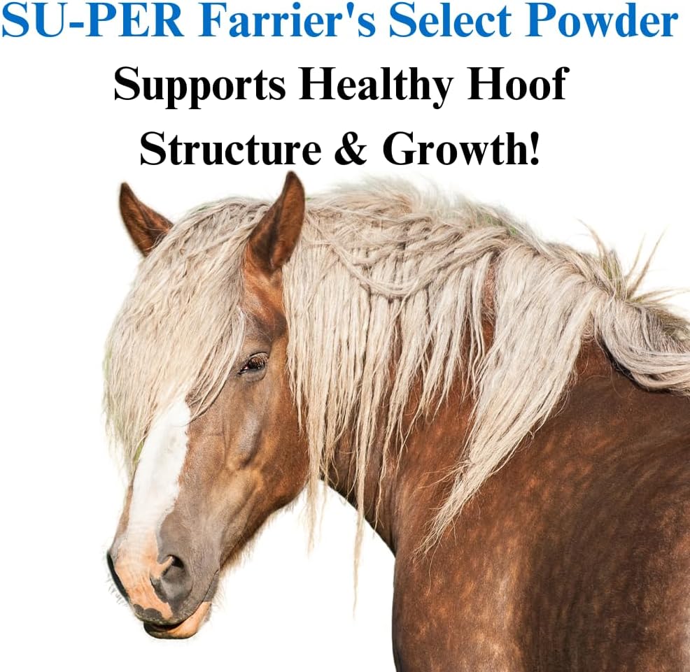 20lb Horse Hoof Supplement with Probiotics for Healthy Growth - Farrier's Select - 5 Month Supply