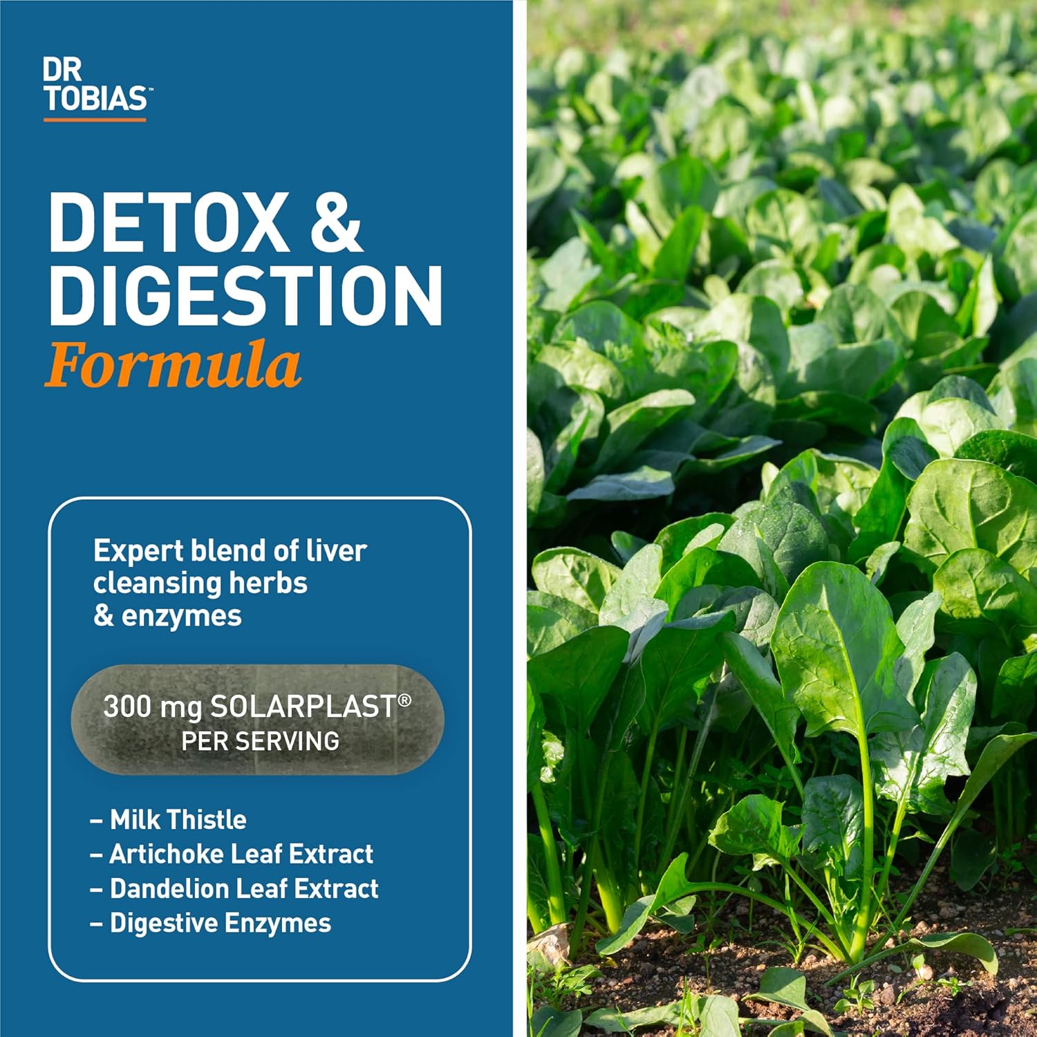 21 Day Herbal Liver Detox Cleanse with Solarplast, Artichoke, Milk Thistle & Dandelion Extract - 63 Capsules