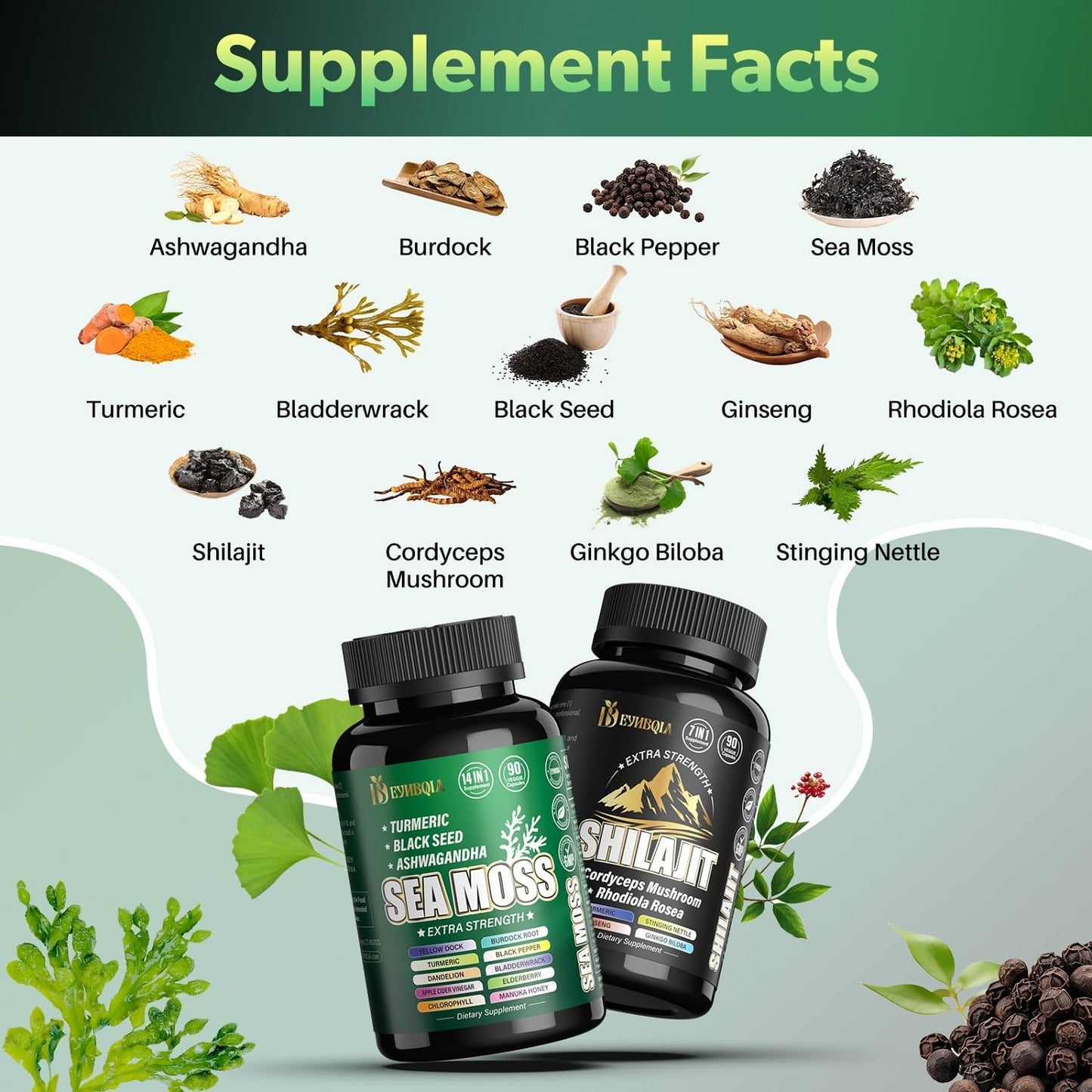 21-in-1 Sea Moss and Shilajit Supplement Bundle - 90 Day Supply - Black Seed Oil, Ashwagandha, Turmeric, Rhodiola Rosea, Burdock, Bladderwrack - 2 Pack