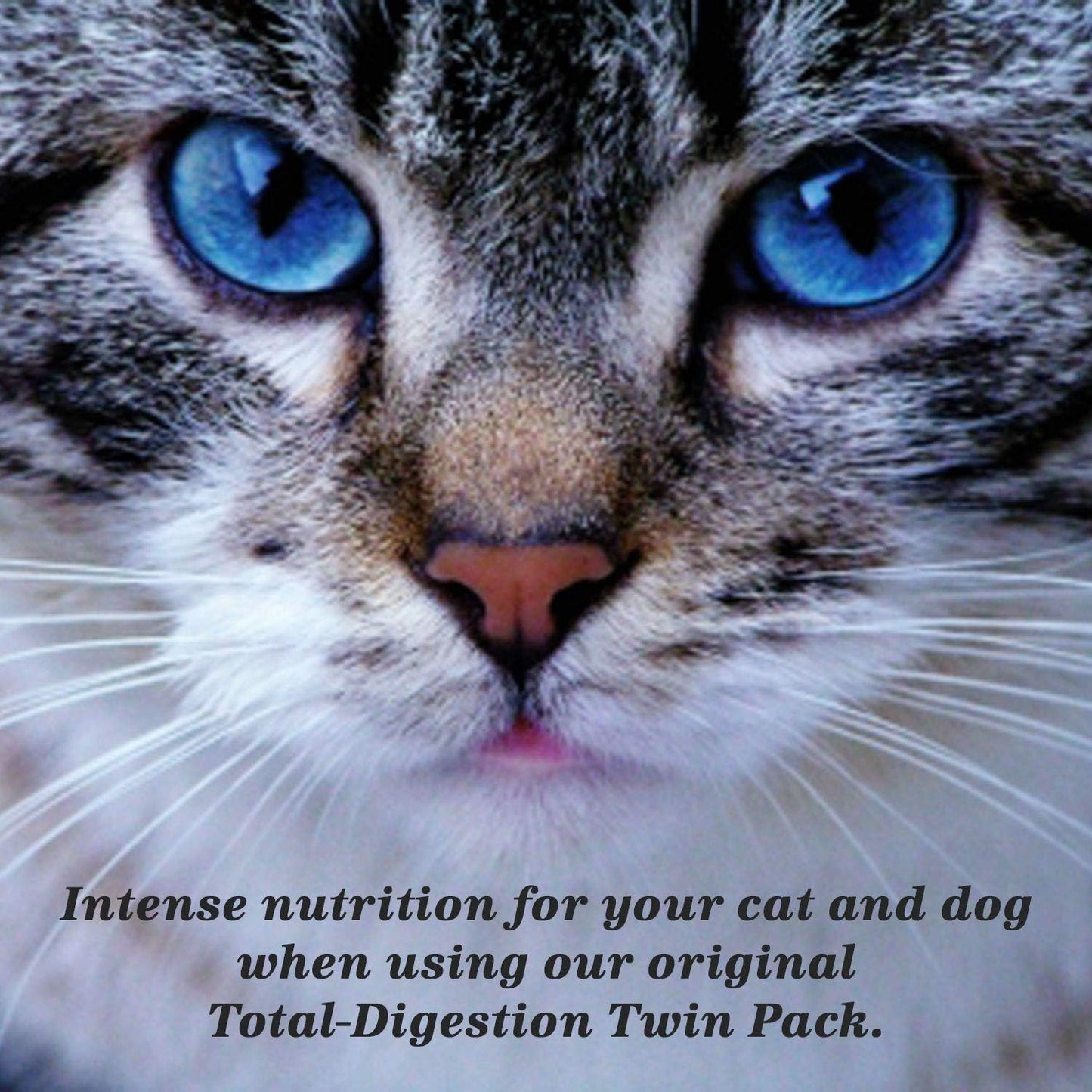 2.22oz NWC Naturals Mini Twin Pack Probiotics & Digestive Enzymes for Cats & Dogs
