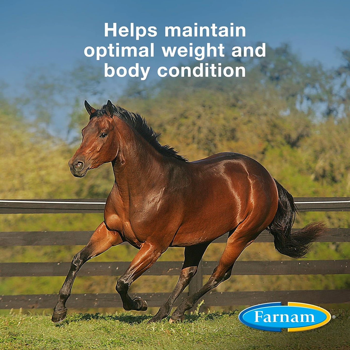 22.5 lb Farnam Weight Builder Horse Supplement - Sugar-Free, Maintains Optimal Weight & Body Condition, 90 Day Supply