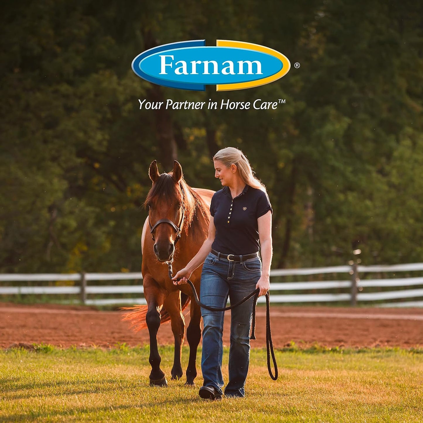 22.5 lb Farnam Weight Builder Horse Supplement - Sugar-Free, Maintains Optimal Weight & Body Condition, 90 Day Supply