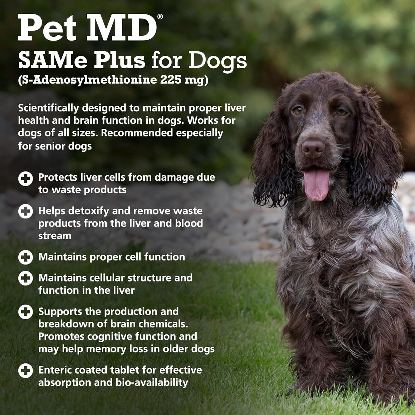 225 MG Pet MD Same Plus S-Adenosyl Liver Supplement for Dogs - 60 Tablets