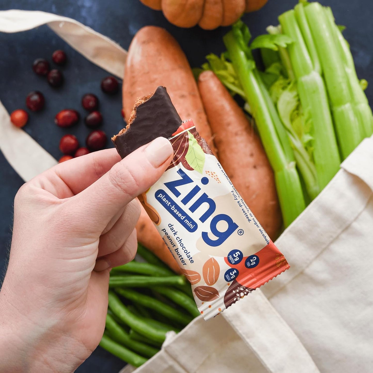 24-Count Zing Kids Protein Bars Variety Pack, Gluten-Free Mini Bars with High Protein, Vegan Nutrition Bars, Dairy-Free Plant-Based Protein - 100 Calories
