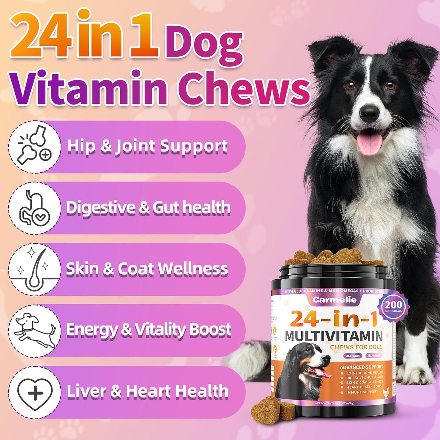 24-in-1 Dog Multivitamin Chewable with Glucosamine, Probiotics - 200 Chews - Senior & Puppy - Hip & Joint, Skin & Coat, Immune Health, Digestive - Chicken Flavor
