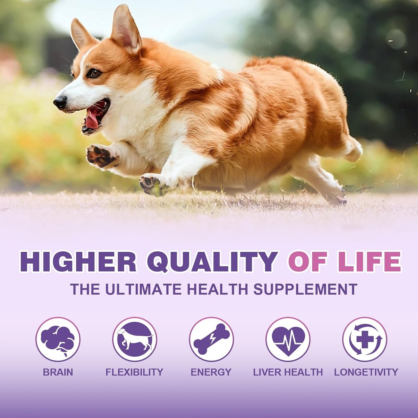 24-in-1 Dog Vitamins & Supplements with Glucosamine, Chondroitin & Omega-3 - Senior & Puppy Multivitamin for Coat, Heart, Joints, Digestion, Immune Support - Chewable Dog Vitamin