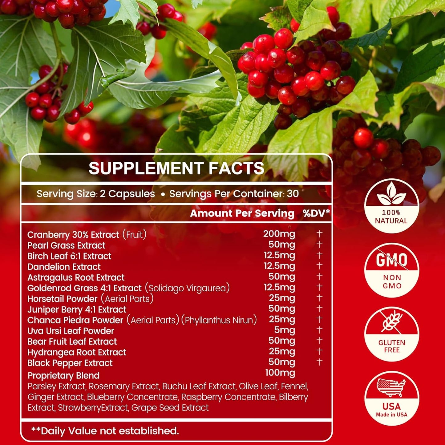 24-in-1 Kidney Support Supplement for Detox & Repair - Herbal Formula for Kidney & Urinary Tract Health - Non-GMO, 60 Capsules - Made in USA