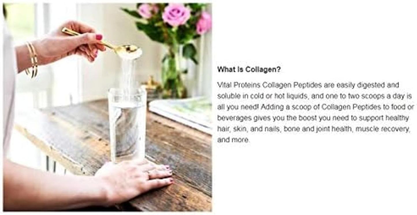 24 Oz Vital Proteins Collagen Peptides Unflavored Supplement for Healthy Diet and Skin