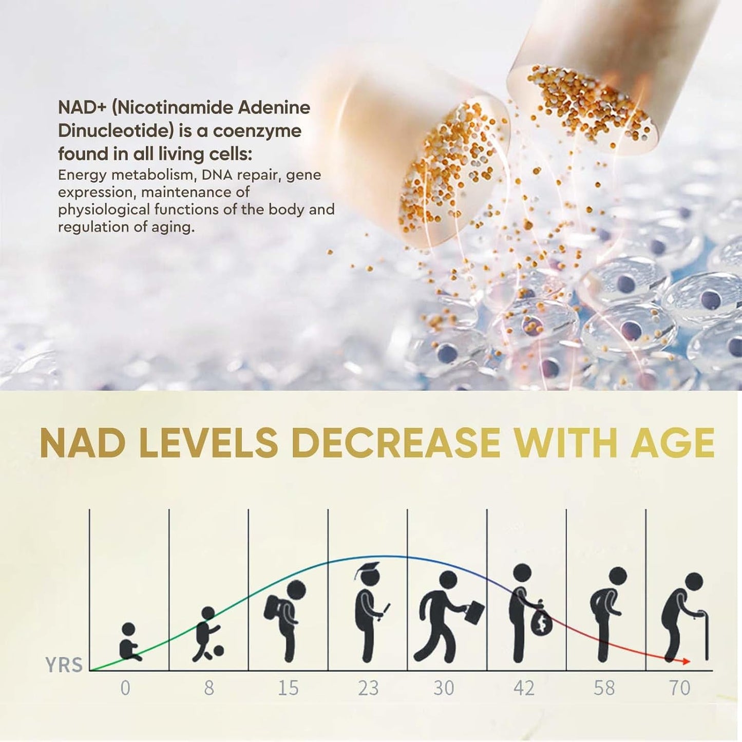 240 Capsule NAD+ Supplement 1000mg - Powerful Anti-Aging Formula with Resveratrol - Boosts Energy and Cellular Health