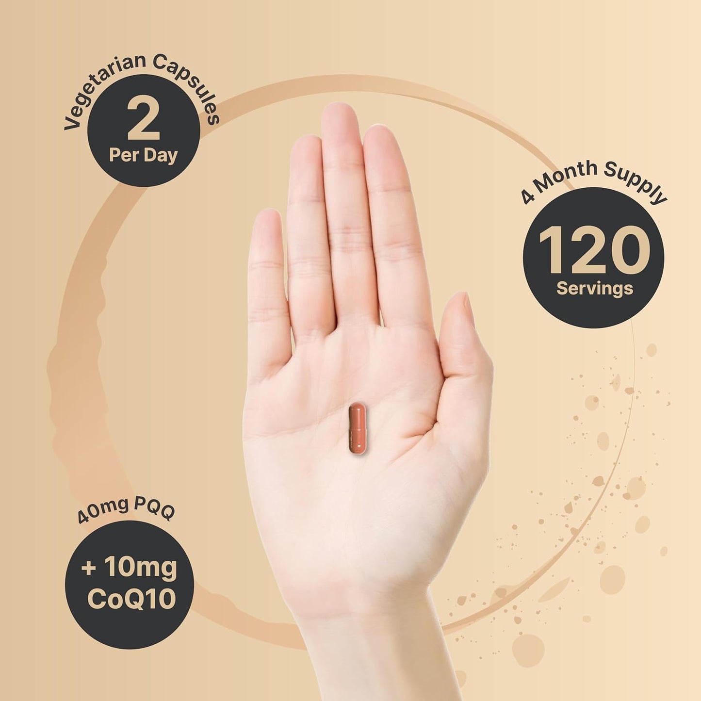 240 Capsules NatureBell PQQ 40mg with CoQ10 | ZenPQQ+ Formula for Heart, Brain, & Mitochondrial Health