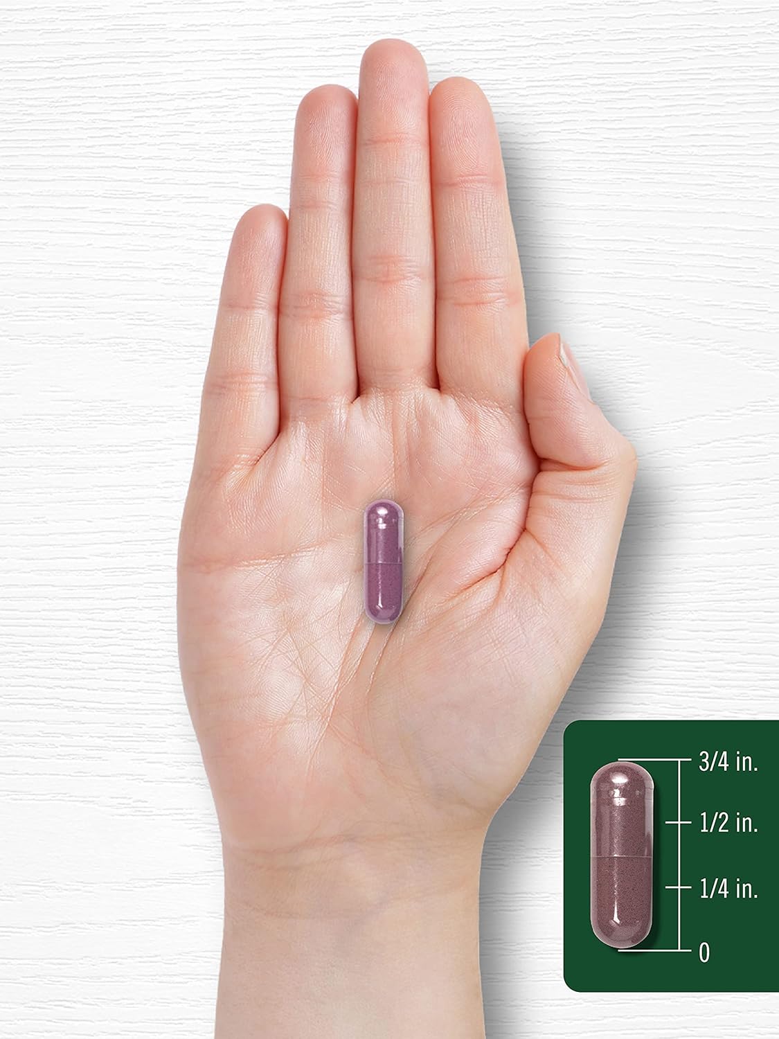 240 Capsules of Carlyle Grape Seed Extract 24,000 mg Equivalent | Powerful Standardized Extract | Non-GMO, Gluten Free | Maximum Strength Formula