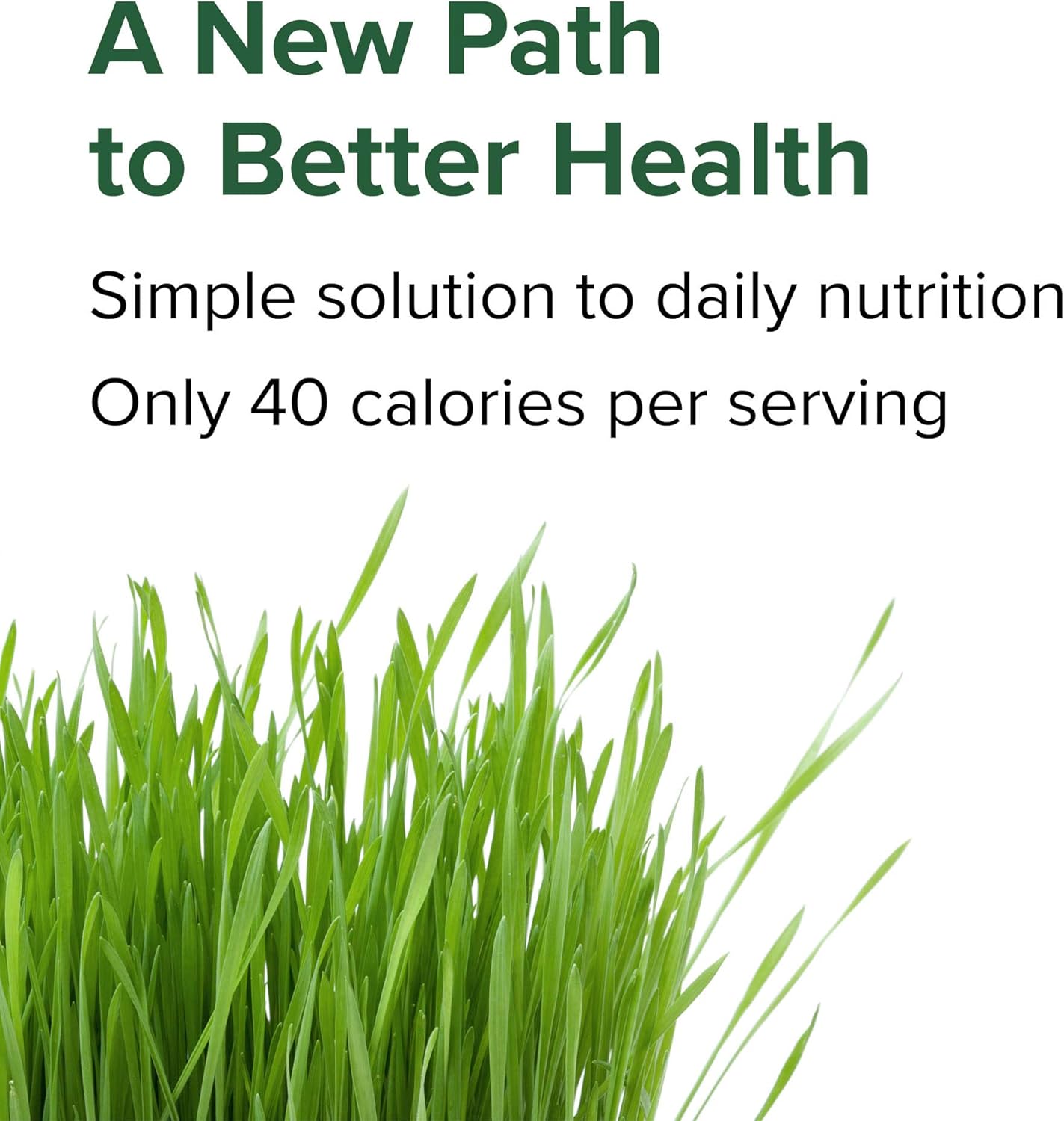 240 Capsules of Green Vibrance Vegan Superfood Pills for Vibrant Health