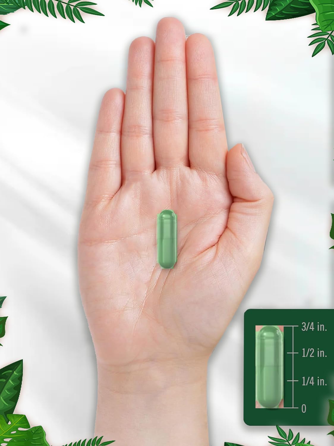 240 Capsules of Non-GMO Moringa Oleifera Supplement - Gluten Free Green Superfood from Moringa Leaf Powder