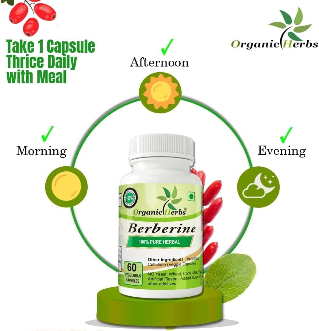 240 Capsules of Organic Herbs Ayurvedic Berberine Supplement for Natural Wellness
