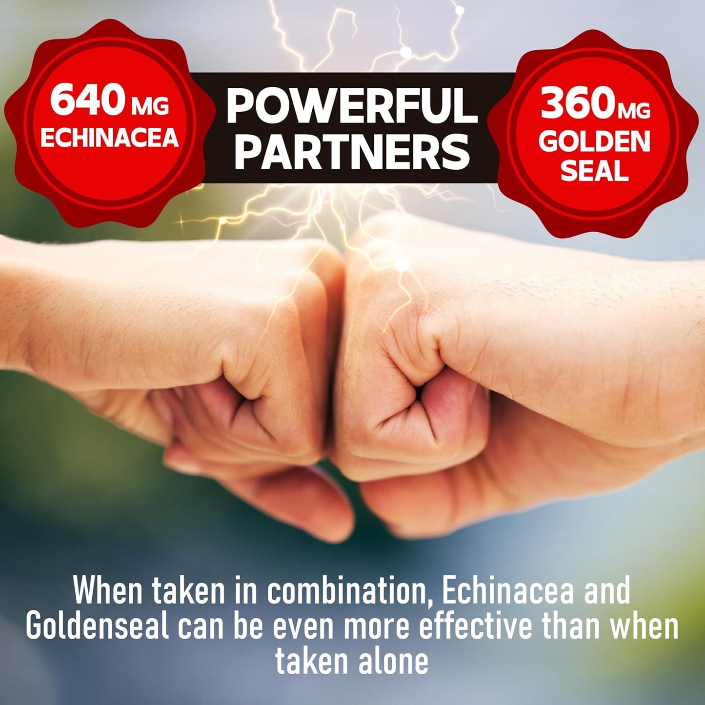 240 Count DEDICAD Echinacea Goldenseal Capsules (1000mg) - 4 Month Supply for Immune System & Overall Health Support