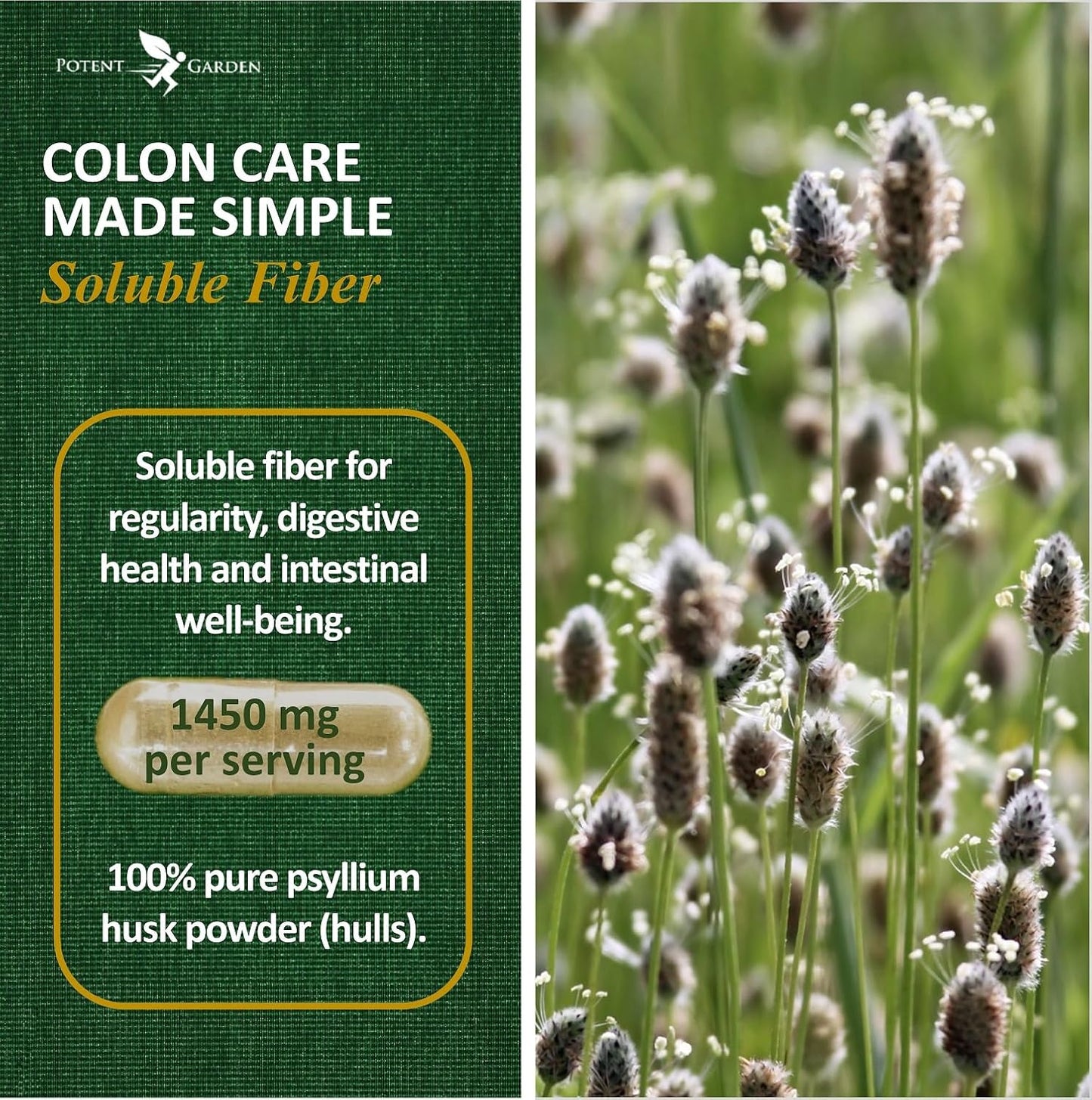 240 Potent Garden Psyllium Husk Capsules - Natural Soluble Fiber Supplement for Digestion & Regularity