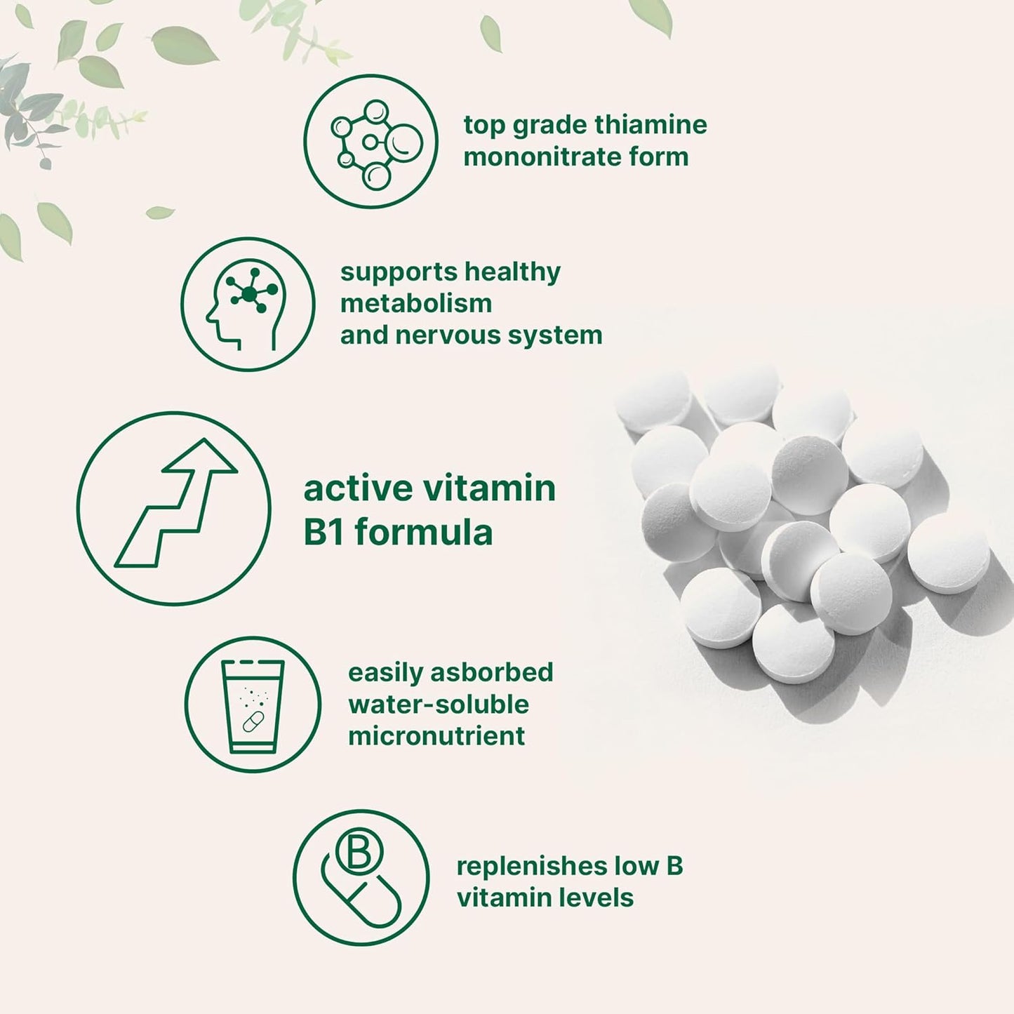 240 Tablets of Micro Ingredients Vitamin B1 500mg | Thiamine Supplement for Metabolism & Nervous System | Essential B Vitamin for Overall Health | Non-GMO, Easy to Swallow Tablets