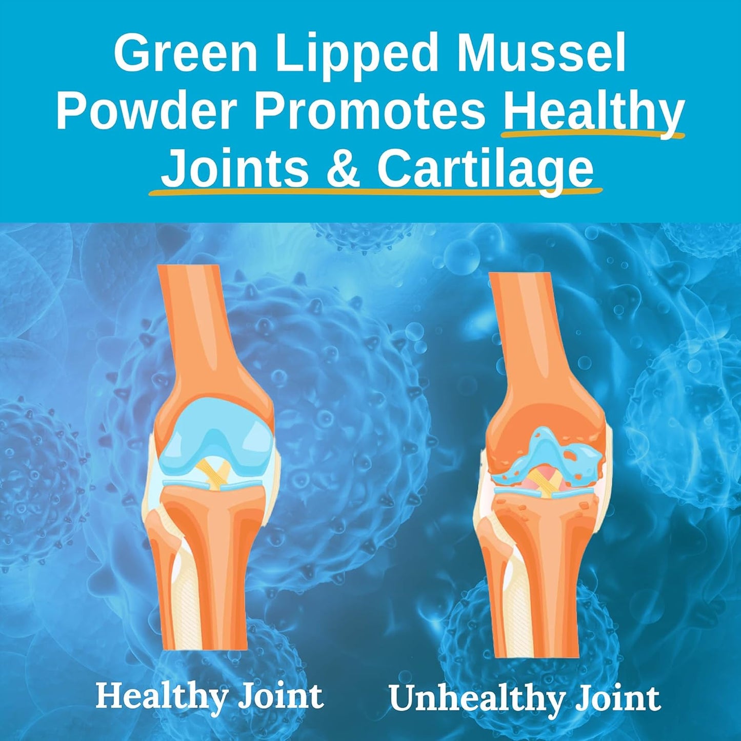 2400mg Green Lipped Mussel Powder Supplement for Joint Health - Omega-3 Fatty Acids from New Zealand, 120 Capsules