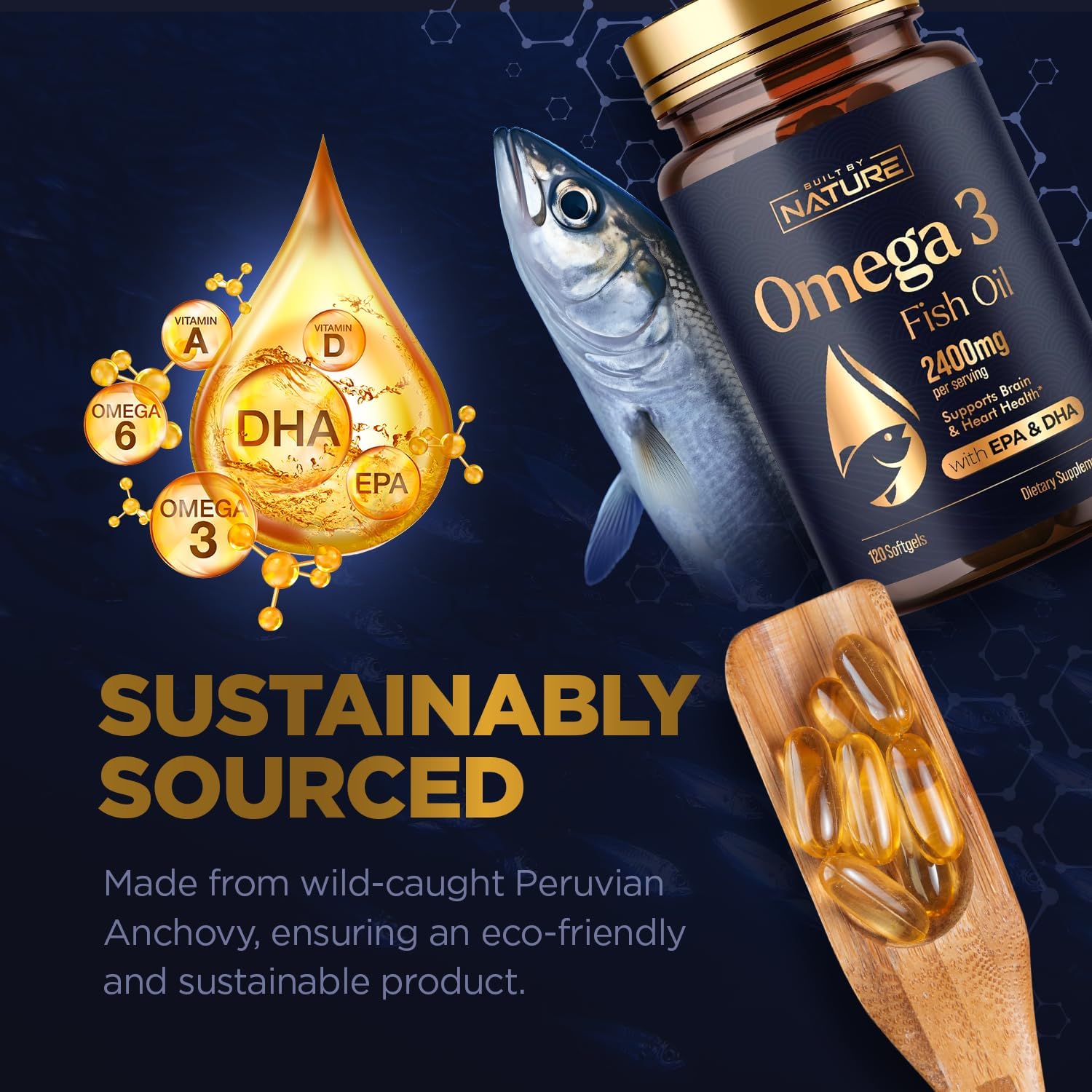 2400mg Omega-3 Fish Oil Supplement with EPA & DHA for Heart and Brain Health - Sustainably Sourced Wild Caught Peruvian Anchovy - Non-GMO - 120 Softgels