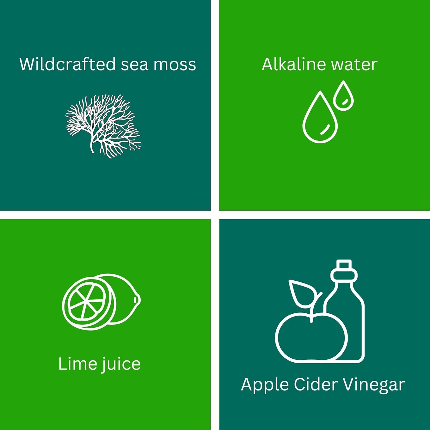 24oz Wildcrafted Gold Sea Moss Gel with Apple Cider Vinegar - Pure Raw Non-GMO | Rich in 92 Vitamins and Minerals from Saint Lucia