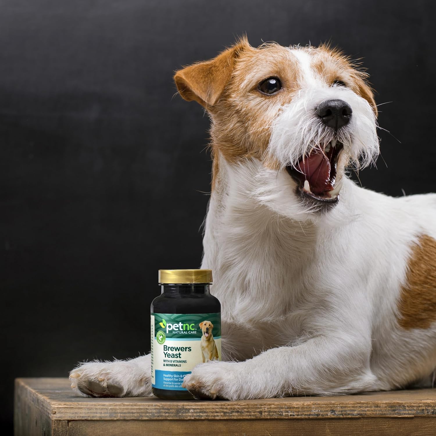 250 Count PetNC Natural Care Brewers Yeast Chewables for Dogs - Supplement for Healthy Pets