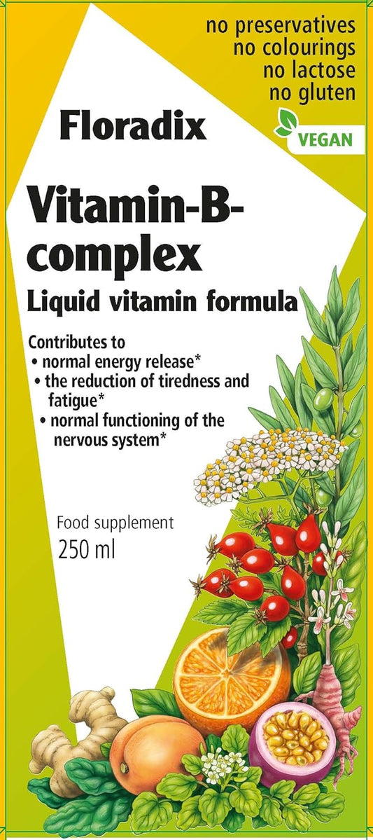 250 ml Floradix Liquid Vitamin B Complex Supplement