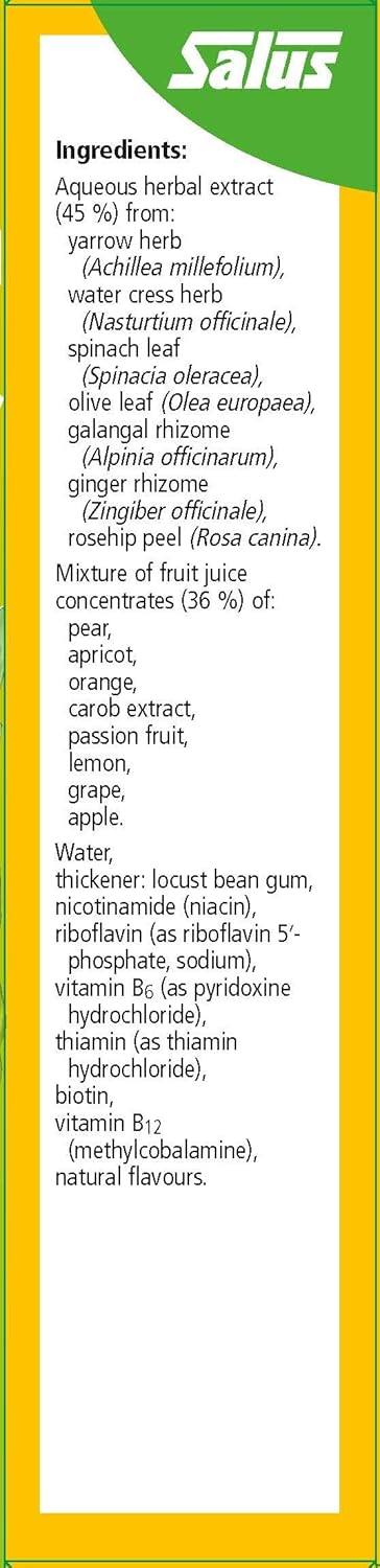 250 ml Floradix Liquid Vitamin B Complex Supplement