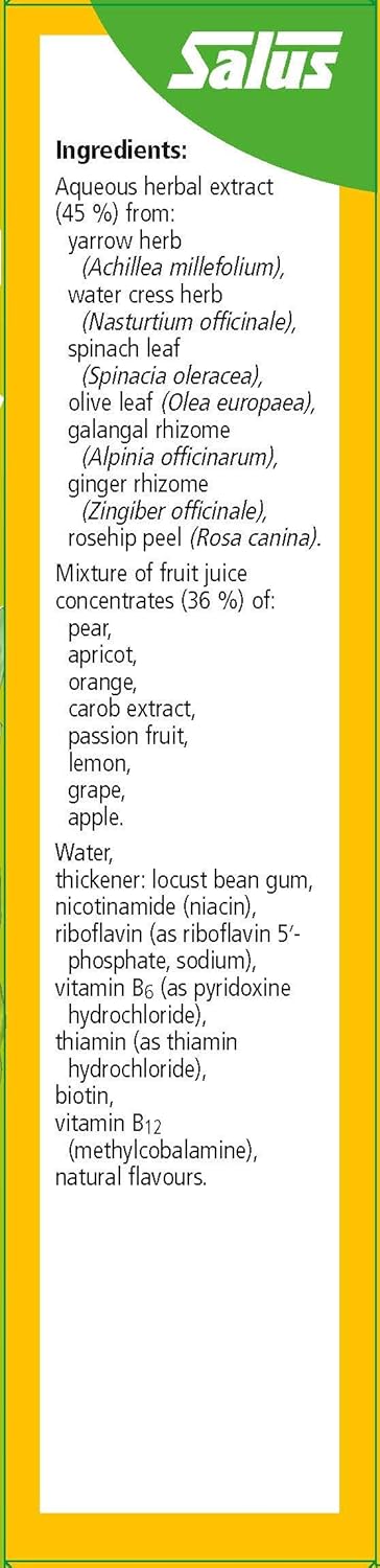 250 ml Floradix Liquid Vitamin B Complex Supplement
