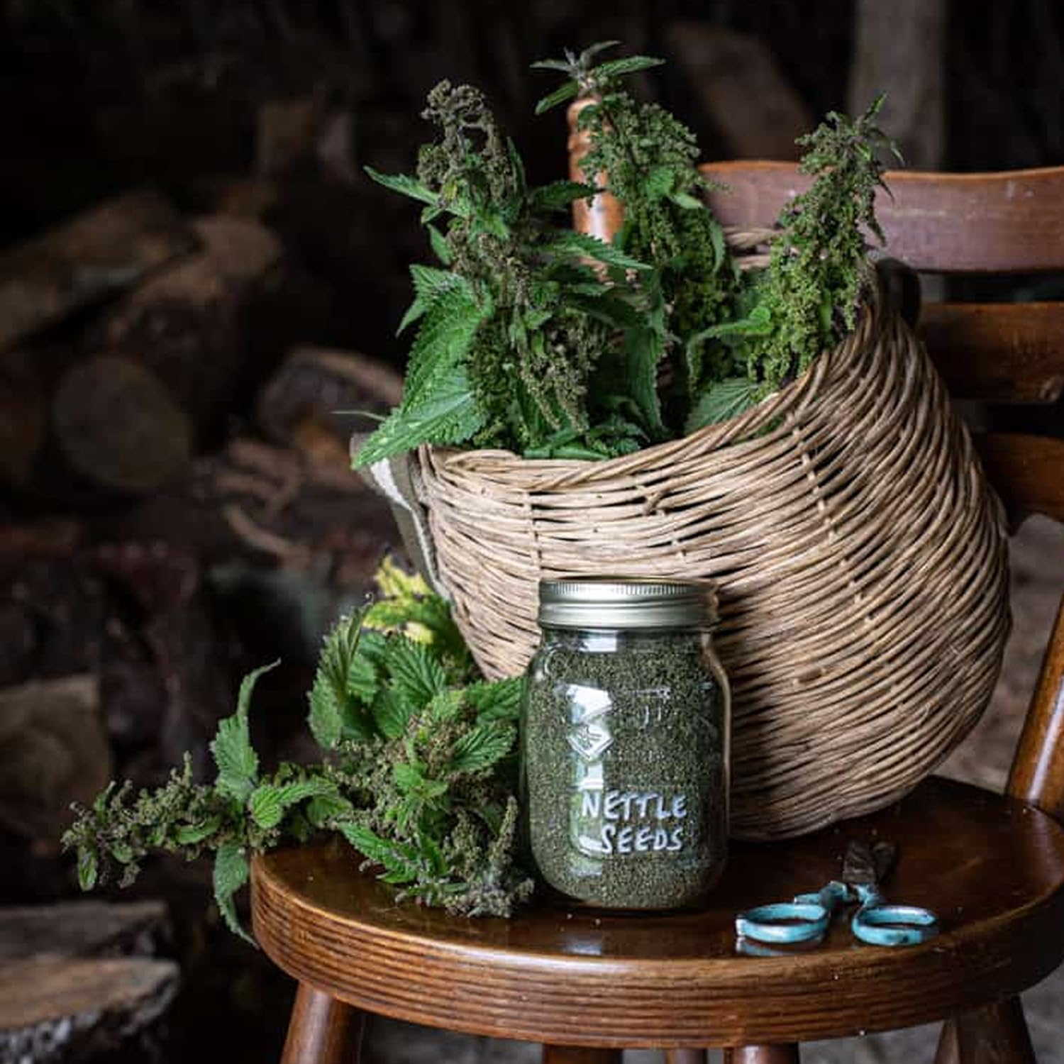 250g Premium Quality Natural Nettle Seed (Urtica dioica) - Bulk Purchase