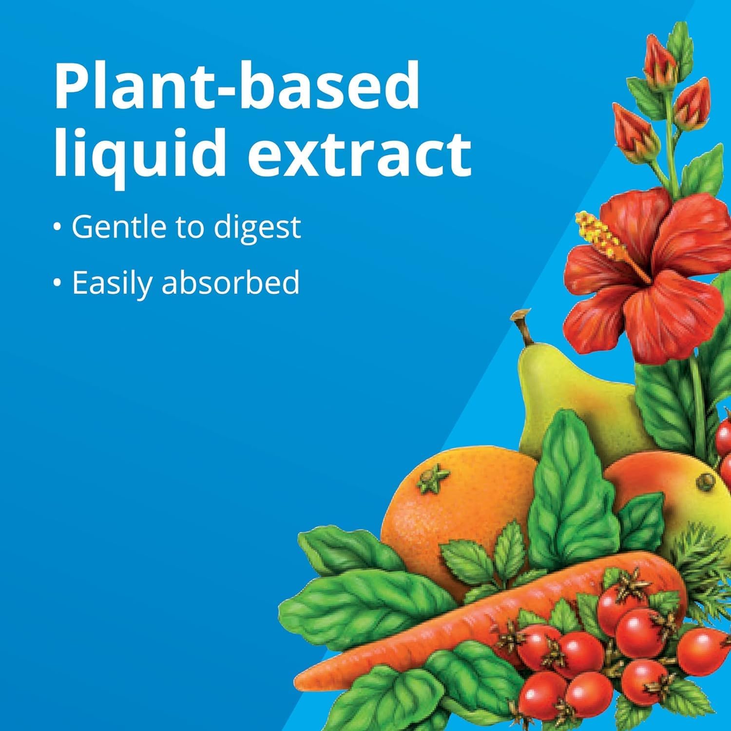 250ml Floradix Liquid Calcium Mineral Supplement for Better Bone Health