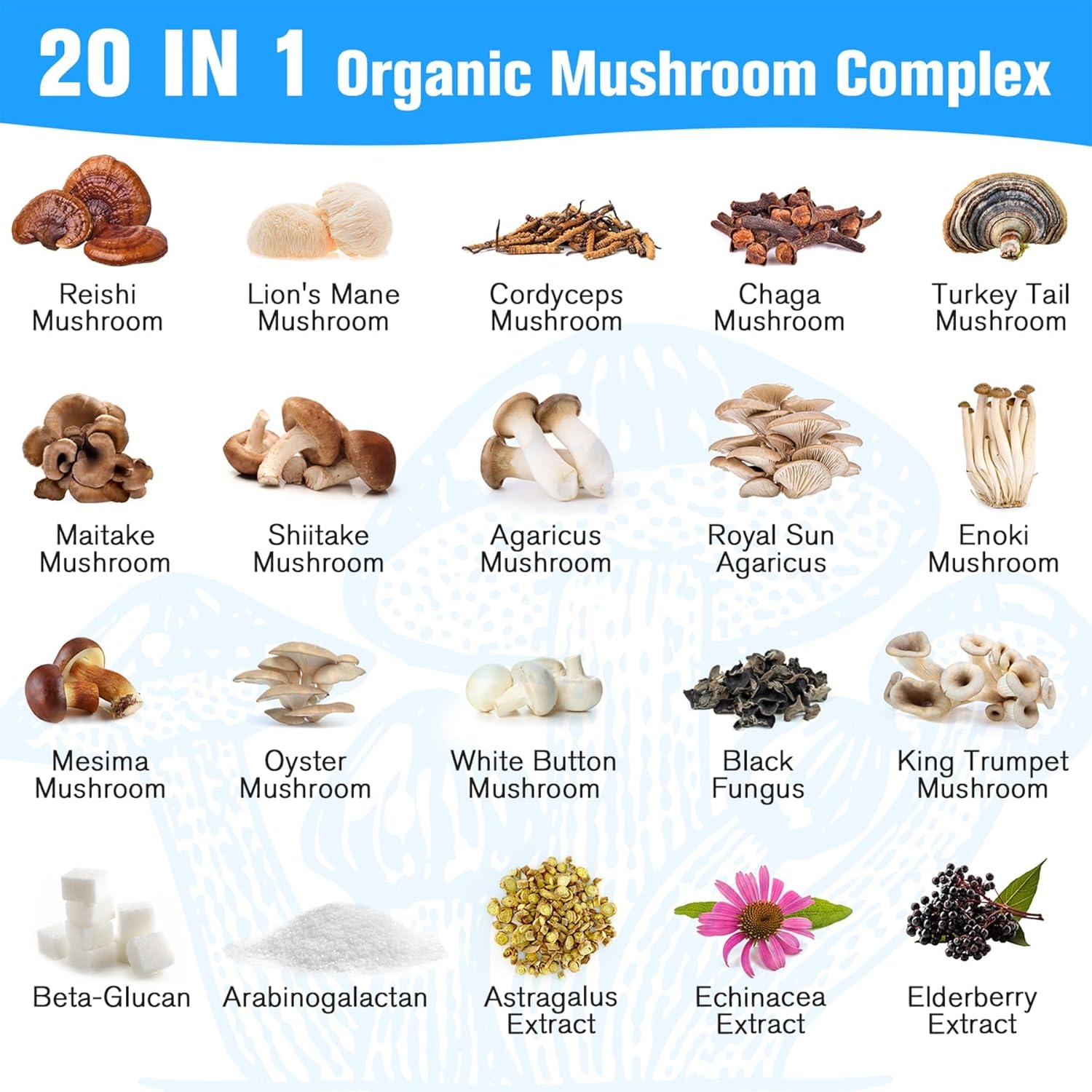 2600mg Mushroom Supplement with Lions Mane, Cordyceps, Reishi, Turkey Tail, Chaga - Memory, Focus, Mood, Immunity - 120 Capsules