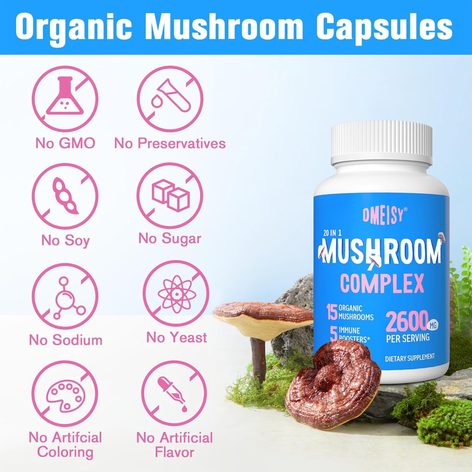 2600mg Mushroom Supplement with Lions Mane, Cordyceps, Reishi, Turkey Tail, Chaga - Memory, Focus, Mood, Immunity - 120 Capsules