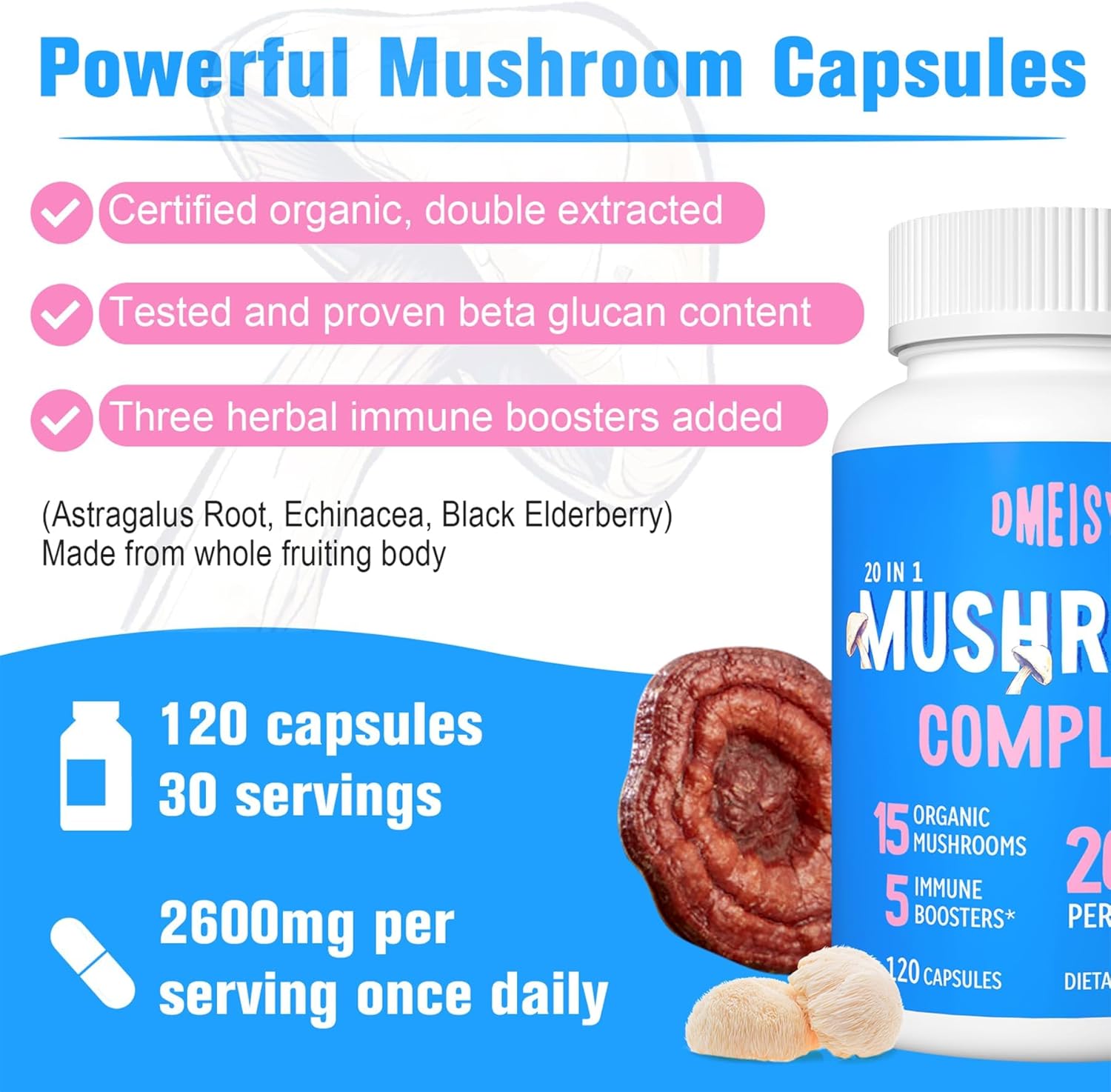2600mg Mushroom Supplement with Lions Mane, Cordyceps, Reishi, Turkey Tail, Chaga - Memory, Focus, Mood, Immunity - 120 Capsules