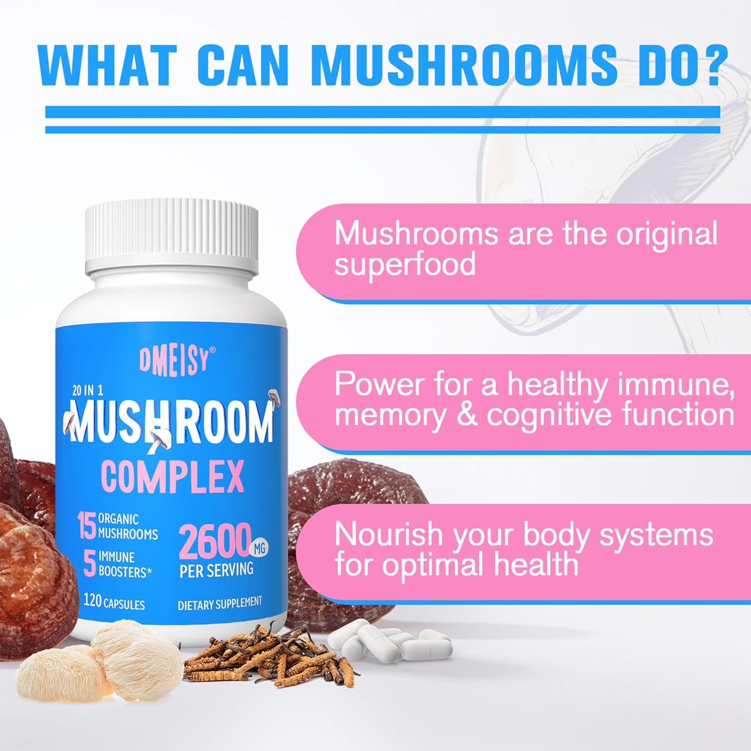 2600mg Mushroom Supplement with Lions Mane, Cordyceps, Reishi, Turkey Tail, Chaga - Memory, Focus, Mood, Immunity - 120 Capsules